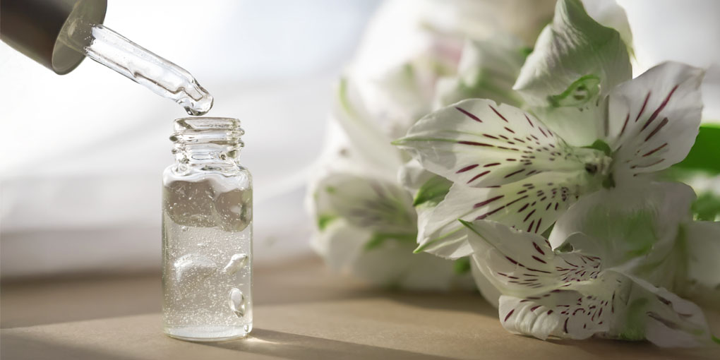 Allevamento lumache vive spurgate Chiocciole Helix Aspera Maxima vendita diretta Brescia Allevamento lumache vive spurgate Chiocciole Helix Aspera Maxima vendita diretta Brescia