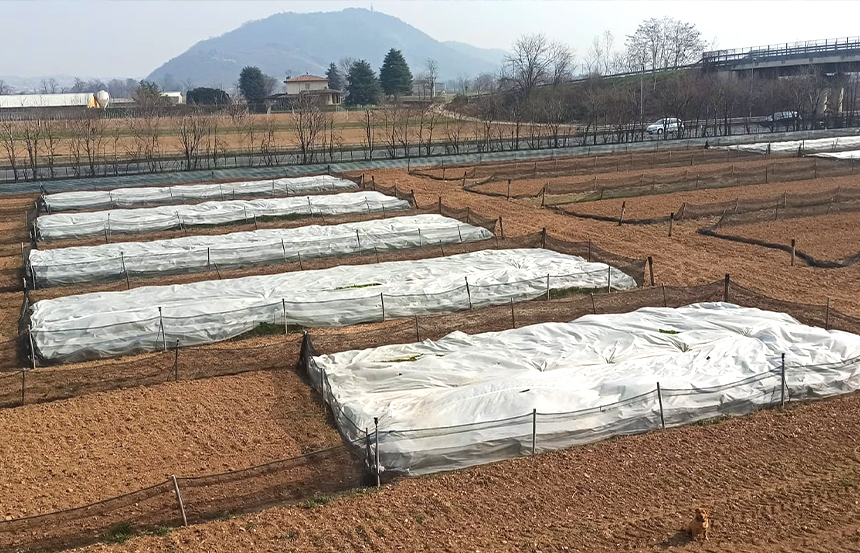 agrilu-elicicoltura-e-cosmetica-brescia