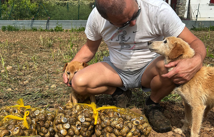 La bava di lumaca è un ingrediente miracoloso, ma per noi di Agrilu non avrebbe alcun valore se fosse frutto di sofferenza.